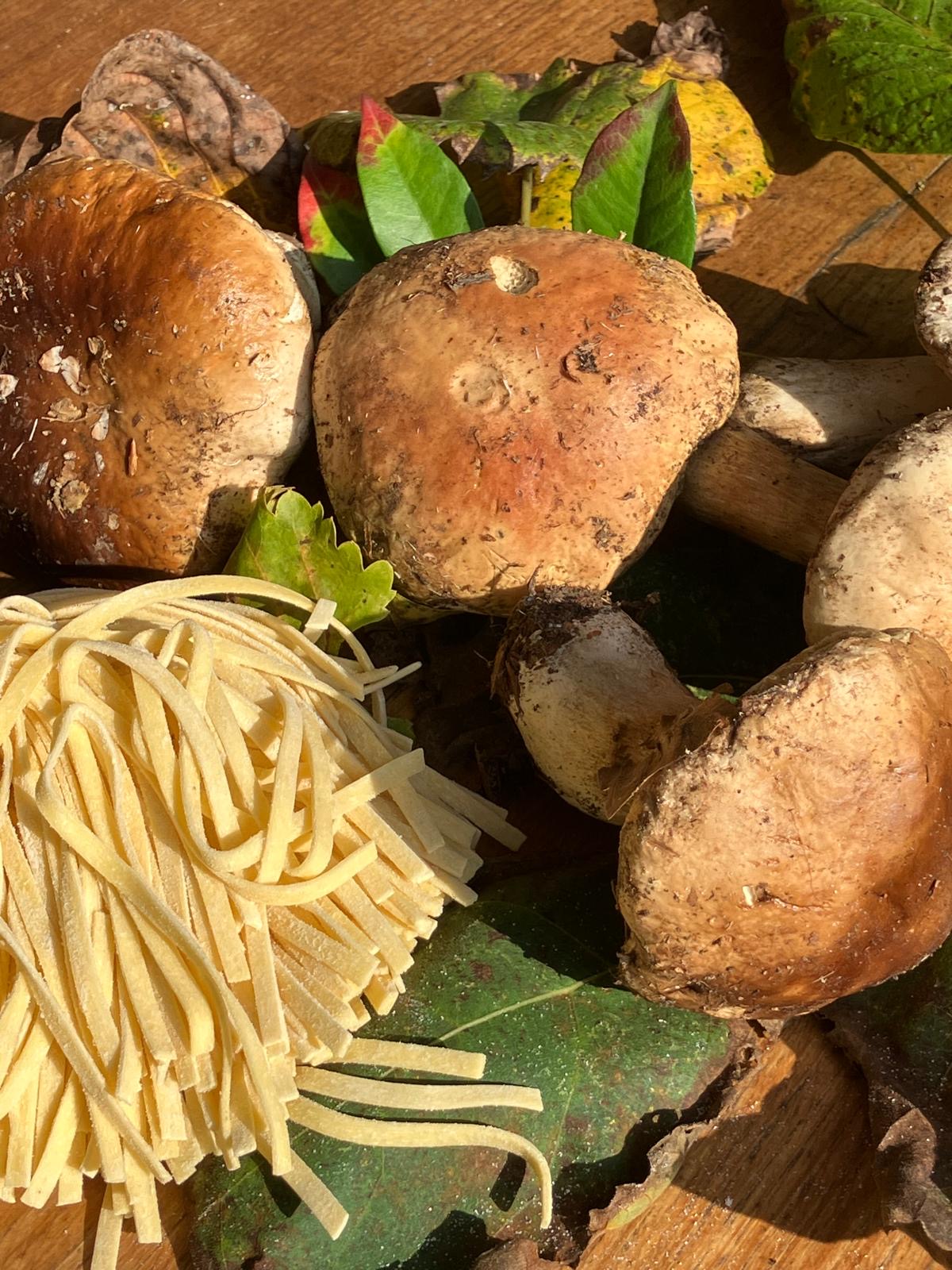 Pasta ai Funghi Porcini